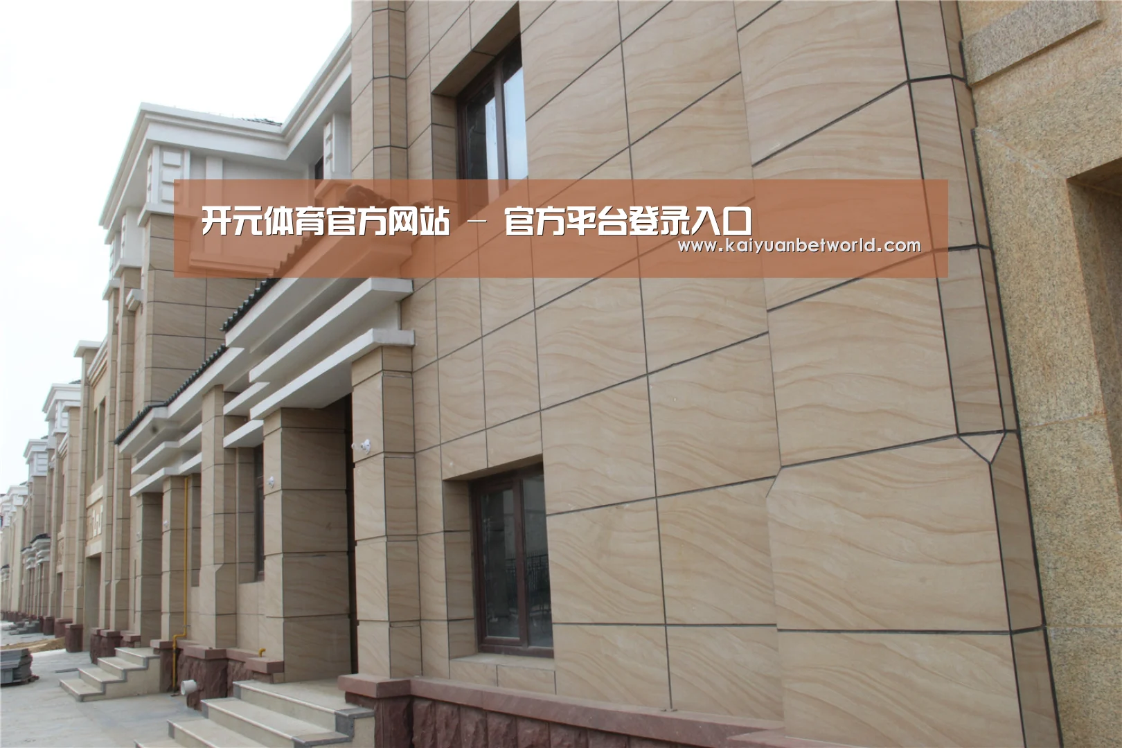 山东湖滨泰和公馆(图1)