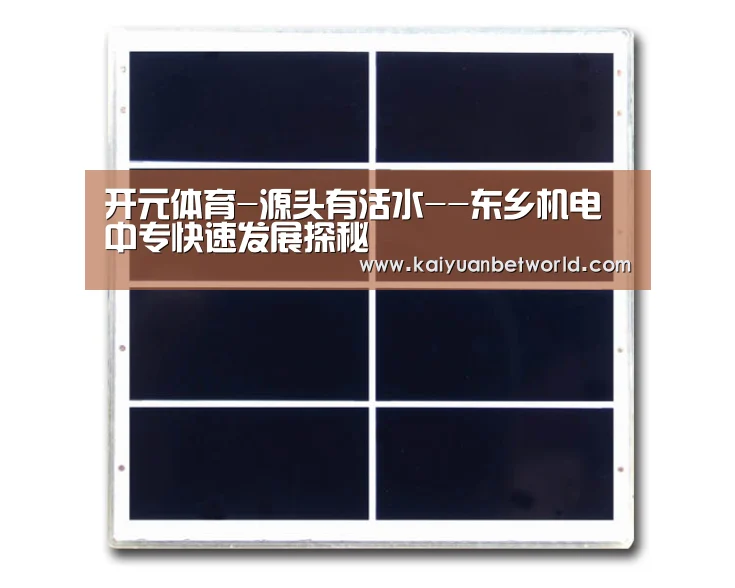开元体育-源头有活水--东乡机电中专快速发展探秘
